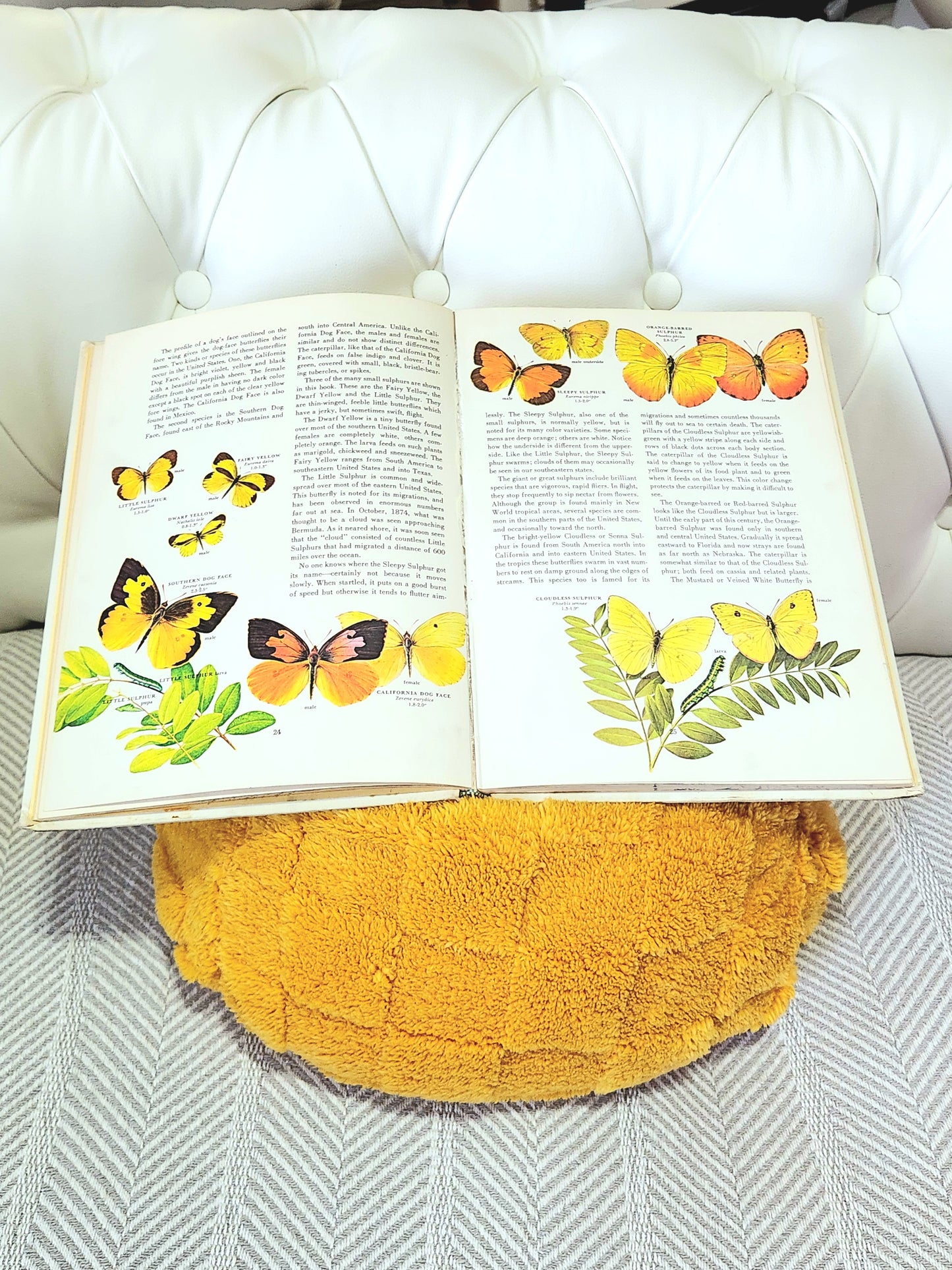 Yellow Checkered Tablet Bean Bag Pouf