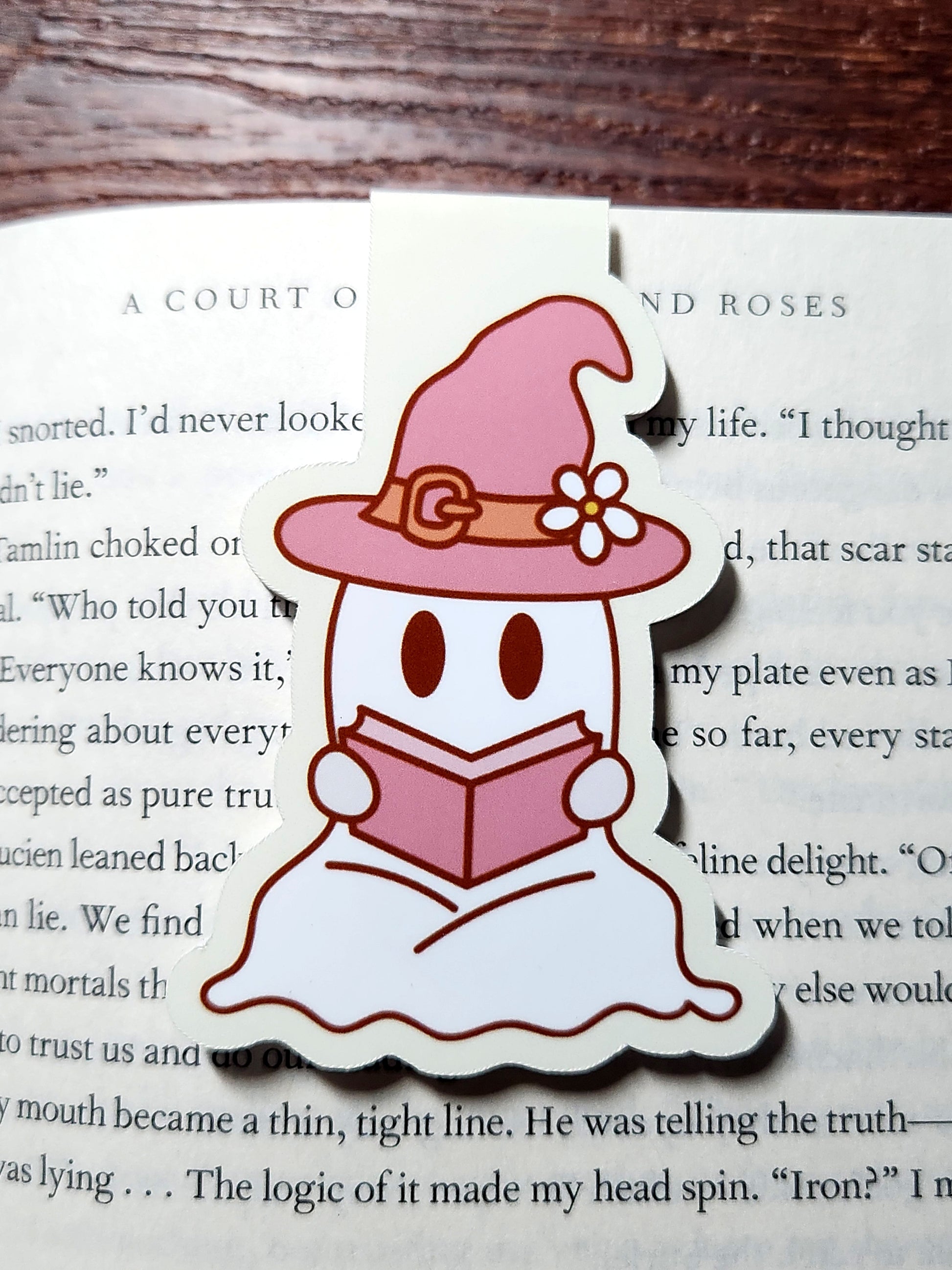 witch hat ghost reader