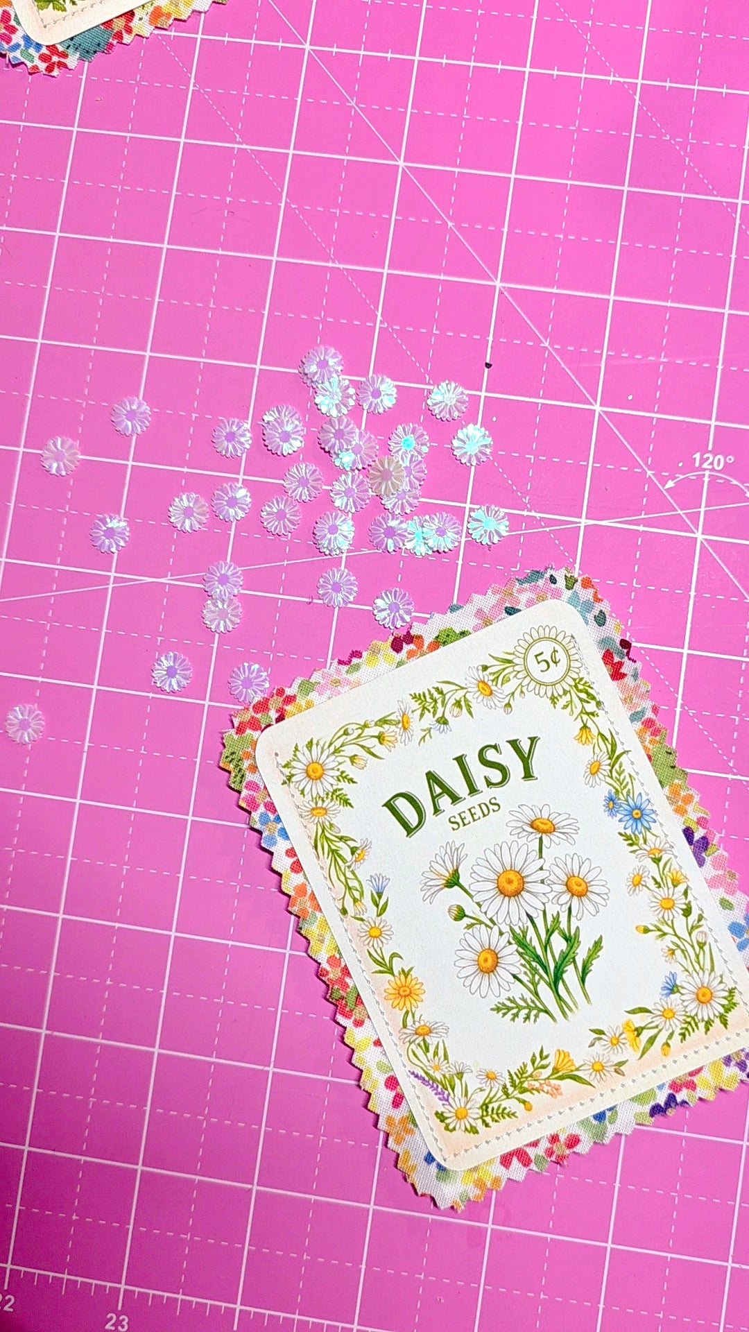Seed packet labeled 'Daisy' on a pink grid background