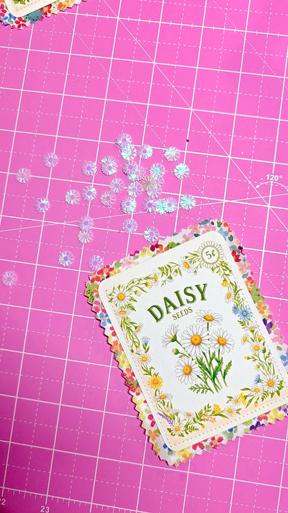 Seed packet labeled 'Daisy' on a pink grid background
