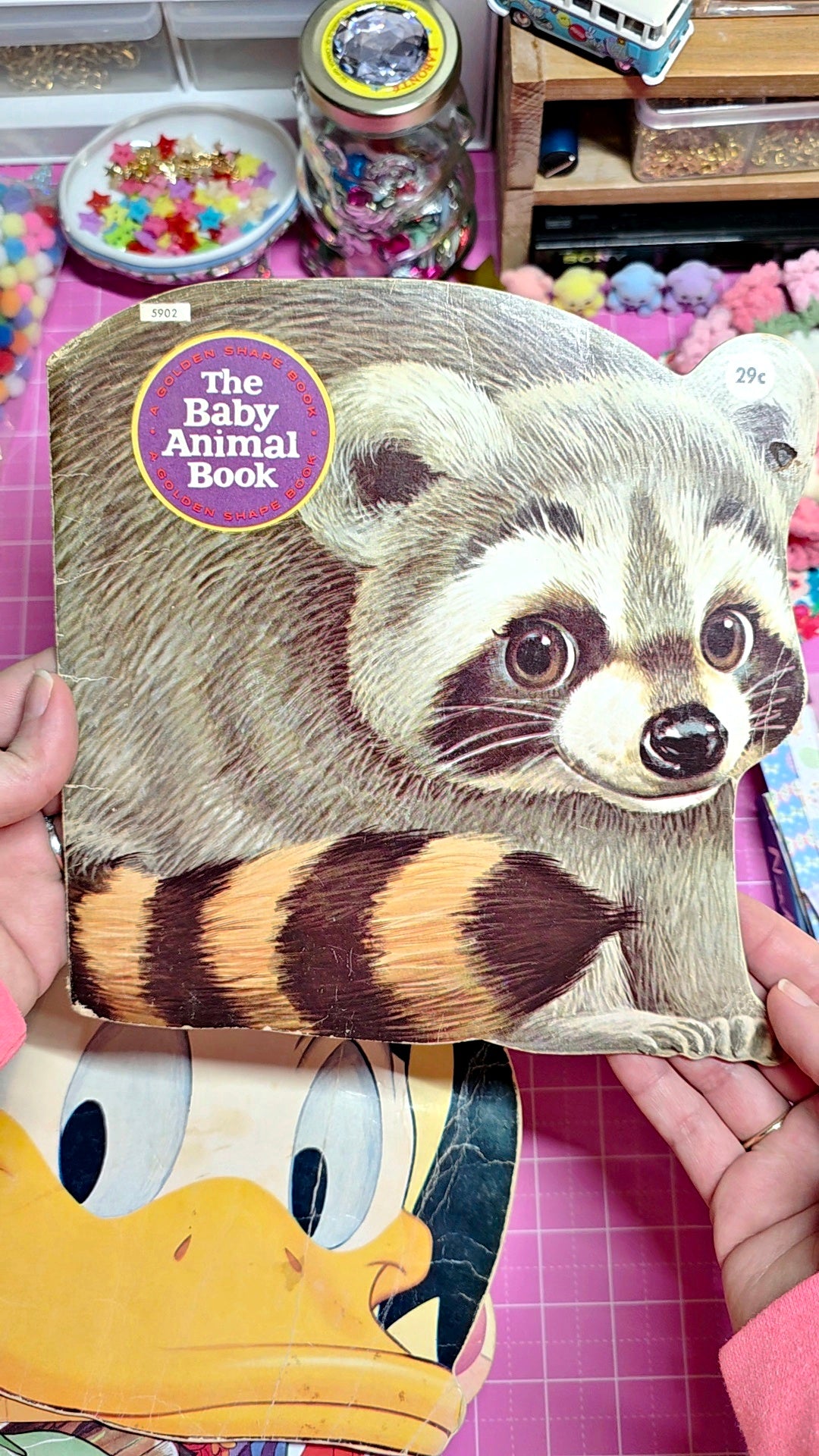 Raccoon Book