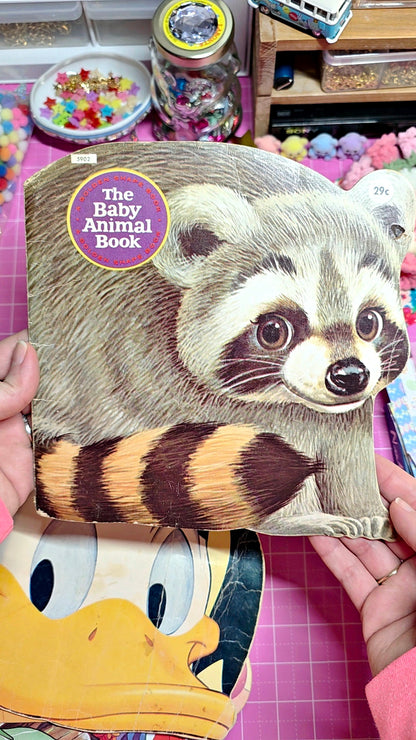 Raccoon Book