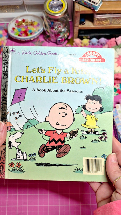 lets fly a kite charlie brown