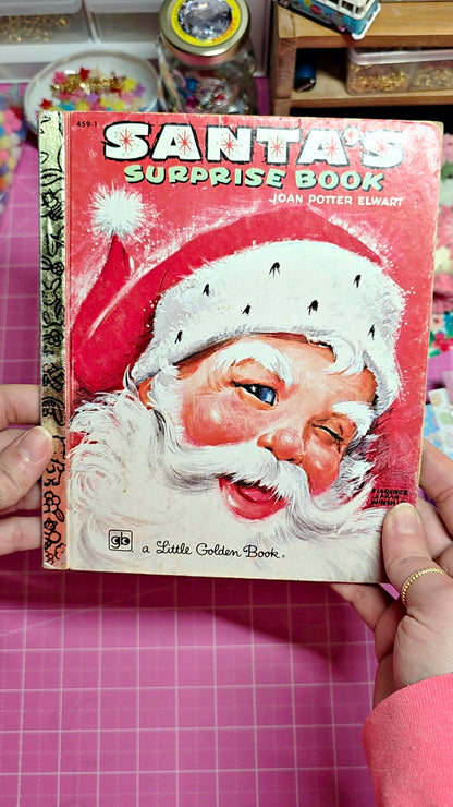 santas surprise book 
