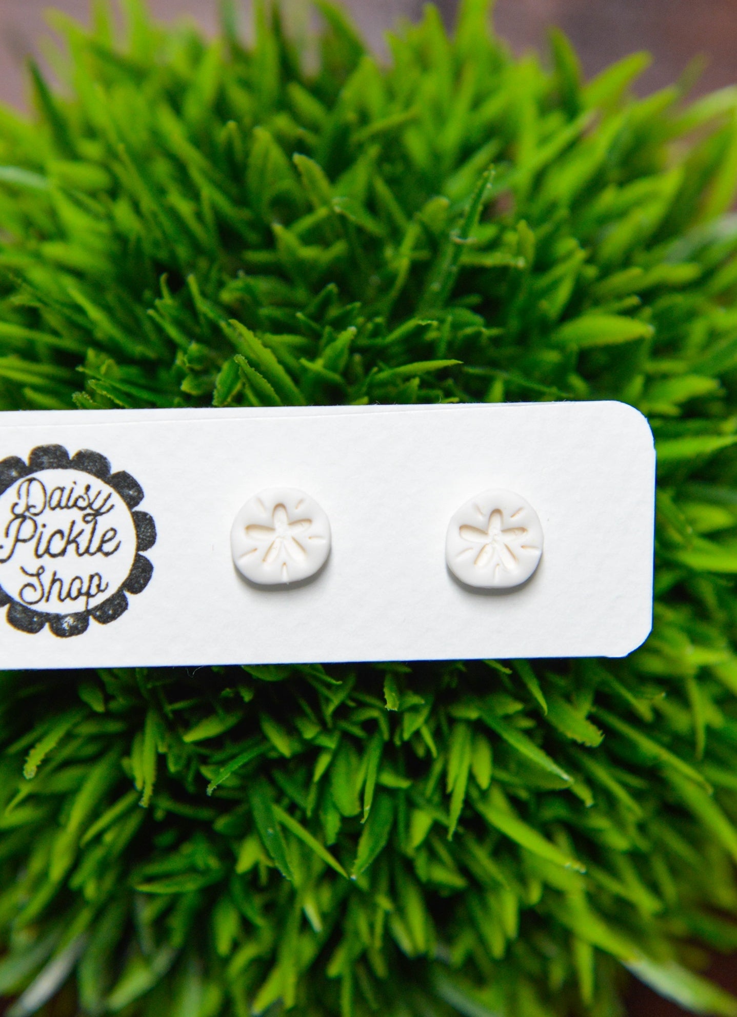 Tiny Sand Dollar Stud Earrings