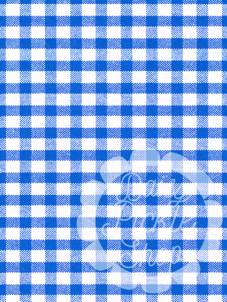 Blue and white checkered pattern with a decorative element on a blue checkered background