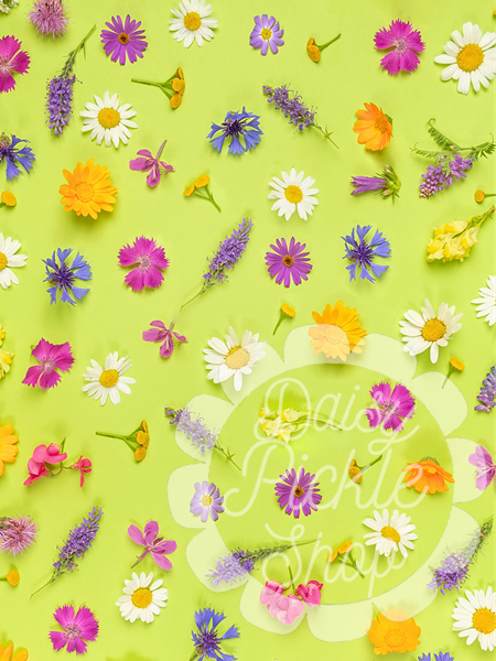 colorful background 