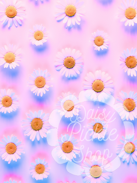 Pattern of daisies on a pastel background with 'Daisy Pickle Shop' text.