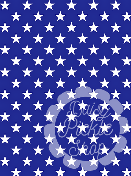 Blue background with white star pattern and 'Pickle Pickle Shop' logo.